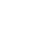 linnstone logo